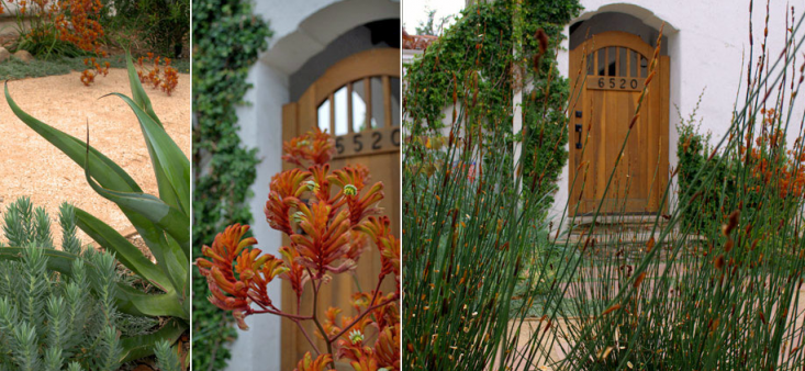 Orange and Green Garden by Grow Outdoor Design, Oak Stained Front Door, Gardenista